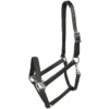 Halster Tekna Zwart -Ruiter Hoek Verkoopwinkel halster tekna zwart 1500x1500 106903