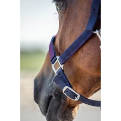 Halsterset Epplejeck EJGlitter Paars -Ruiter Hoek Verkoopwinkel halsterset epplejeck ejglitter paars 1500x1500 168262