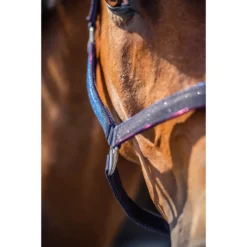 Halsterset Epplejeck EJGlitter Paars -Ruiter Hoek Verkoopwinkel halsterset epplejeck ejglitter paars 1500x1500 168264