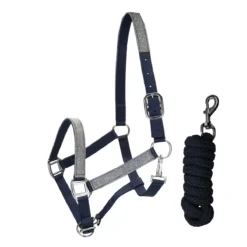 Halsterset Epplejeck EJGlitter Zilver