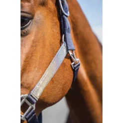 Halsterset Epplejeck EJGlitter Zilver -Ruiter Hoek Verkoopwinkel halsterset epplejeck ejglitter zilver 1500x1500 168267