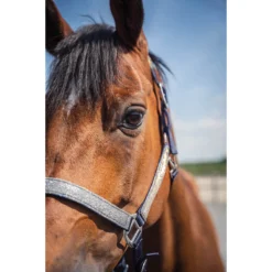 Halsterset Epplejeck EJGlitter Zilver -Ruiter Hoek Verkoopwinkel halsterset epplejeck ejglitter zilver 1500x1500 168268