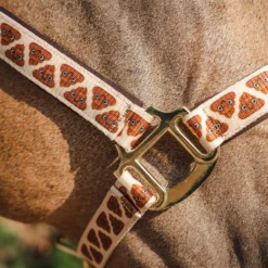 Halsterset Epplejeck EJShittz Multicolor -Ruiter Hoek Verkoopwinkel halsterset epplejeck ejshittz multicolor 1500x1500 173436