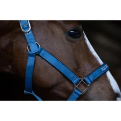 Halsterset Equestrian Stockholm Amalfi Coast Blauw -Ruiter Hoek Verkoopwinkel halsterset equestrian stockholm amalfi coast blauw 1500x1500 186711