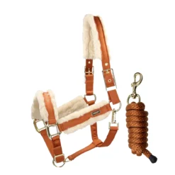 Halsterset Equestrian Stockholm Bronze Gold Bruin-goud