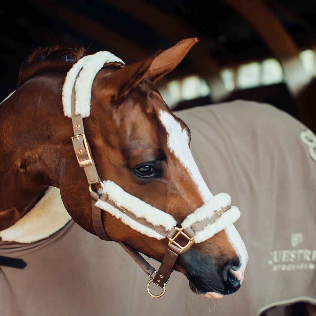 Halsterset Equestrian Stockholm Champagne Middenbruin 4 Halsterset Equestrian Stockholm Champagne Middenbruin - Afbeelding 2