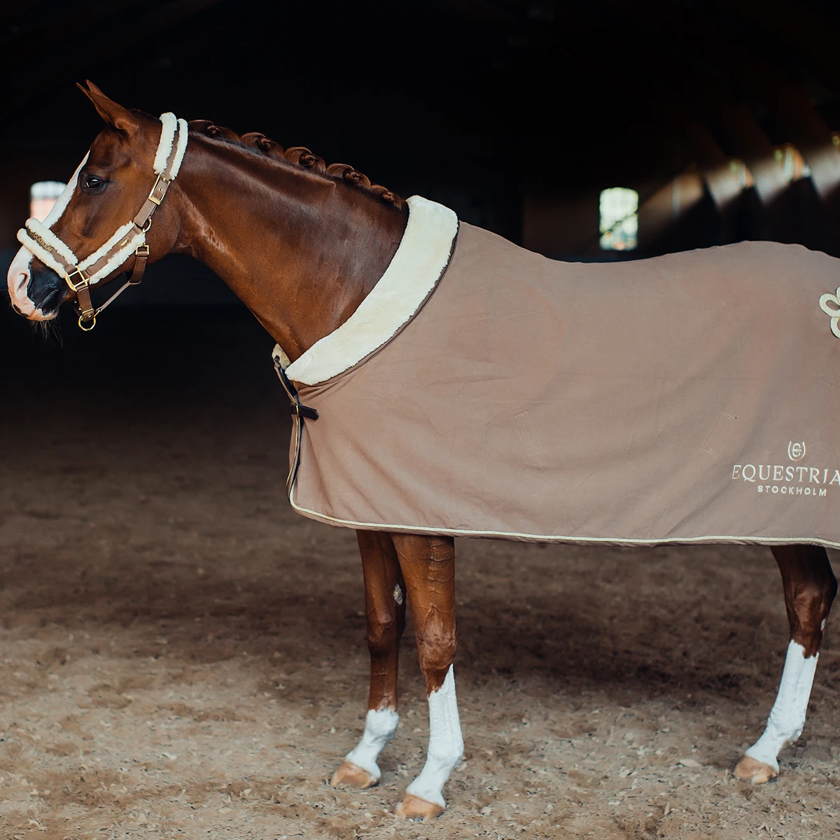 Halsterset Equestrian Stockholm Champagne Middenbruin 5 Halsterset Equestrian Stockholm Champagne Middenbruin - Afbeelding 3