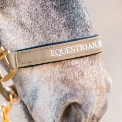 Halsterset Equestrian Stockholm Chantelle Lichtbruin -Ruiter Hoek Verkoopwinkel halsterset equestrian stockholm chantelle lichtbruin 1500x1500 153797