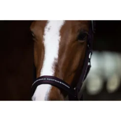 Halsterset Equestrian Stockholm Clean Black Raven Paars 9 Halsterset Equestrian Stockholm Clean Black Raven Paars -Ruiter Hoek Verkoopwinkel halsterset equestrian stockholm clean black raven paars 1500x1500 179366