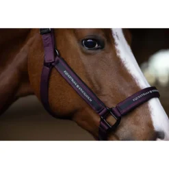 Halsterset Equestrian Stockholm Clean Black Raven Paars 10 Halsterset Equestrian Stockholm Clean Black Raven Paars -Ruiter Hoek Verkoopwinkel halsterset equestrian stockholm clean black raven paars 1500x1500 179367