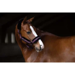 Halsterset Equestrian Stockholm Fur Black Raven Paars -Ruiter Hoek Verkoopwinkel halsterset equestrian stockholm fur black raven paars 1500x1500 179370