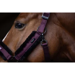 Halsterset Equestrian Stockholm Fur Black Raven Paars -Ruiter Hoek Verkoopwinkel halsterset equestrian stockholm fur black raven paars 1500x1500 179371