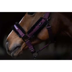 Halsterset Equestrian Stockholm Fur Black Raven Paars -Ruiter Hoek Verkoopwinkel halsterset equestrian stockholm fur black raven paars 1500x1500 179373