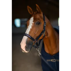 Halsterset Equestrian Stockholm Modern Tech Navy Donkerblauw -Ruiter Hoek Verkoopwinkel halsterset equestrian stockholm modern tech navy donkerblauw 1500x1500 183083
