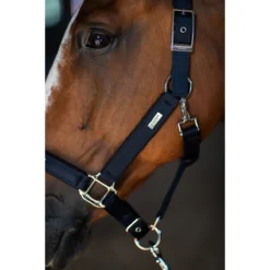 Halsterset Equestrian Stockholm Modern Tech Navy Donkerblauw -Ruiter Hoek Verkoopwinkel halsterset equestrian stockholm modern tech navy donkerblauw 1500x1500 183084
