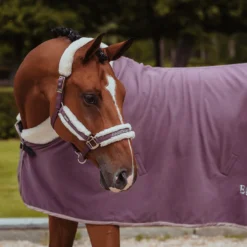 Halsterset Equestrian Stockholm Orchid Bloom Paars -Ruiter Hoek Verkoopwinkel halsterset equestrian stockholm orchid bloom paars 1500x1500 147481