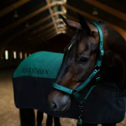 Halsterset Equestrian Stockholm Sycamore Green Groen -Ruiter Hoek Verkoopwinkel halsterset equestrian stockholm sycamore green groen 1500x1500 174018