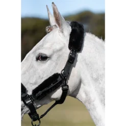 Halsterset Equestrian Stockholm Total Eclipse Zwart -Ruiter Hoek Verkoopwinkel halsterset equestrian stockholm total eclipse zwart 1500x1500 153950