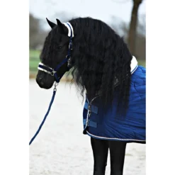 Halsterset Friesian Horse By Horsegear Donkerblauw -Ruiter Hoek Verkoopwinkel halsterset friesian horse by horsegear donkerblauw 1500x1500 173369