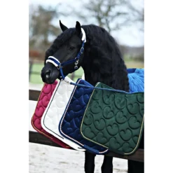 Halsterset Friesian Horse By Horsegear Donkerblauw -Ruiter Hoek Verkoopwinkel halsterset friesian horse by horsegear donkerblauw 1500x1500 173371