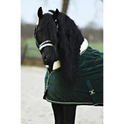Halsterset Friesian Horse By Horsegear Donkergroen 11 Halsterset Friesian Horse By Horsegear Donkergroen -Ruiter Hoek Verkoopwinkel halsterset friesian horse by horsegear donkergroen 1500x1500 173379