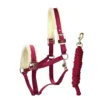 Halsterset Friesian Horse By Horsegear Donkerrood -Ruiter Hoek Verkoopwinkel halsterset friesian horse by horsegear donkerrood 1500x1500 173475