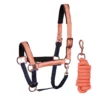 Halsterset Harry's Horse El Pinto Lichtroze -Ruiter Hoek Verkoopwinkel halsterset harry s horse el pinto lichtroze 1500x1500 176744