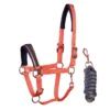 Halsterset Harry's Horse La Gloria Lichtroze -Ruiter Hoek Verkoopwinkel halsterset harry s horse la gloria lichtroze 1500x1500 176747
