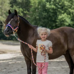 Halsterset Horka Jolly Oranje 7 Halsterset Horka Jolly Oranje -Ruiter Hoek Verkoopwinkel halsterset horka jolly oranje 1500x1500 177048