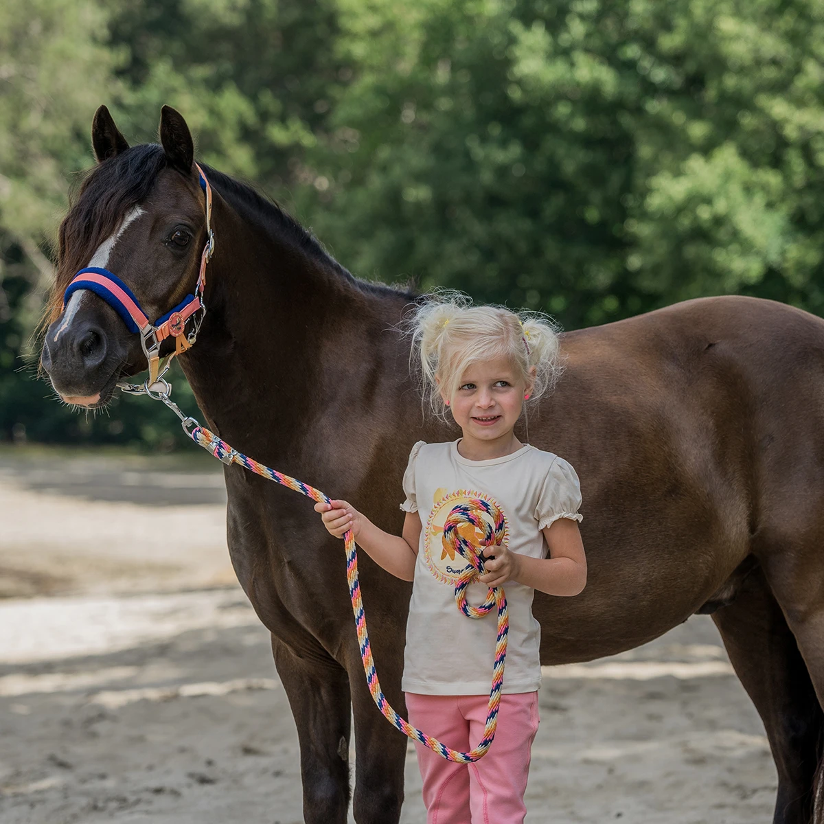 Halsterset Horka Jolly Oranje 5 Halsterset Horka Jolly Oranje - Afbeelding 3