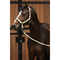 Halsterset Horsegear HGSparkle Goud -Ruiter Hoek Verkoopwinkel halsterset horsegear hgsparkle goud 1500x1500 169449