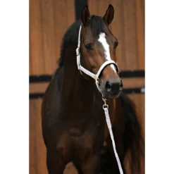 Halsterset Horsegear HGSparkle Zilver -Ruiter Hoek Verkoopwinkel halsterset horsegear hgsparkle zilver 1500x1500 169447