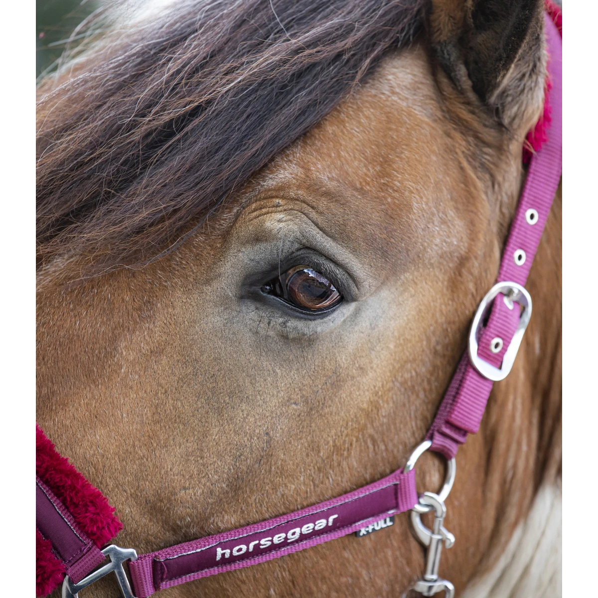 Halsterset Horsegear Reno Donkerrood 4 Halsterset Horsegear Reno Donkerrood - Afbeelding 2