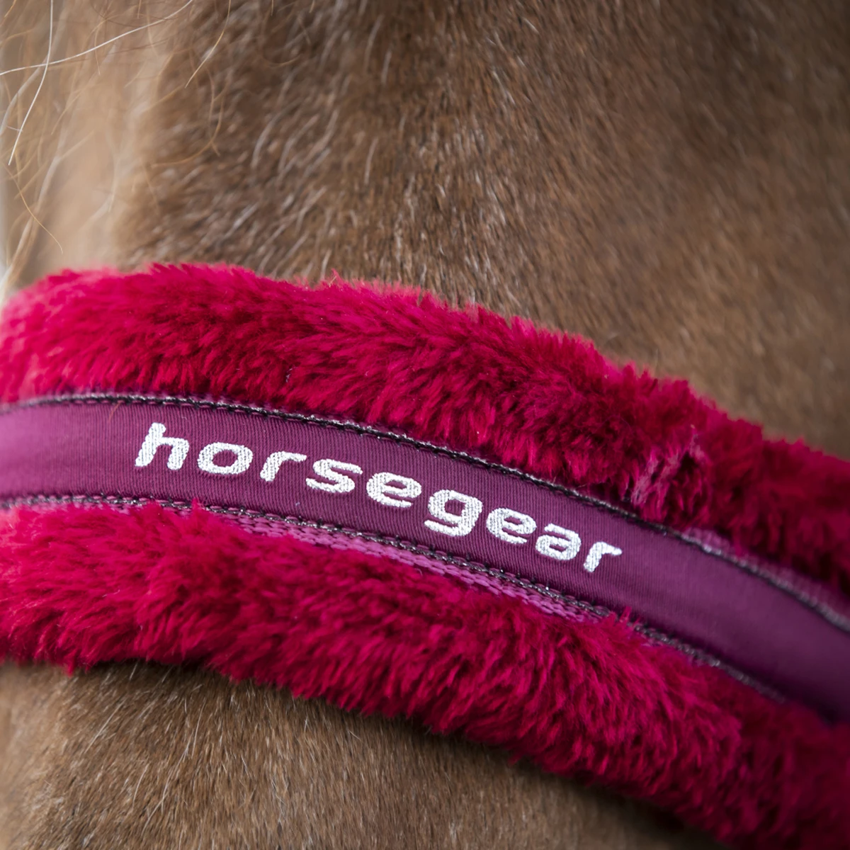 Halsterset Horsegear Reno Donkerrood 5 Halsterset Horsegear Reno Donkerrood - Afbeelding 3