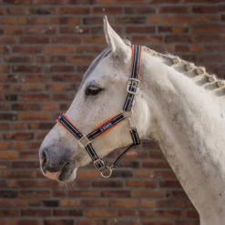 Halsterset KNHS Donkerblauw-oranje -Ruiter Hoek Verkoopwinkel halsterset knhs donkerblauw oranje 1500x1500 180801