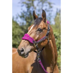 Halsterset LeMieux Vogue Roze-zwart