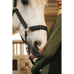 Halsterset N-Brands X Epplejeck Zwart-groen -Ruiter Hoek Verkoopwinkel halsterset n brands x epplejeck zwart groen 1500x1500 180877