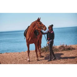 Halsterset N-Brands X Epplejeck Zwart-groen -Ruiter Hoek Verkoopwinkel halsterset n brands x epplejeck zwart groen 1500x1500 182188