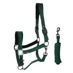 Halsterset QHP Astana Donkergroen