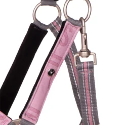 Halsterset QHP Turnout Collection Roze -Ruiter Hoek Verkoopwinkel halsterset qhp turnout collection roze 1500x1500 174982