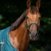 Halsterset QHP Turnout Collection Turquoise -Ruiter Hoek Verkoopwinkel halsterset qhp turnout collection turquoise 1500x1500 174994
