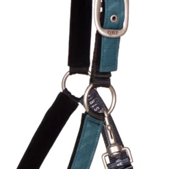 Halsterset QHP Turnout Collection Turquoise -Ruiter Hoek Verkoopwinkel halsterset qhp turnout collection turquoise 1500x1500 174996
