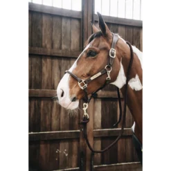 Halstertouw Kentucky Bruin -Ruiter Hoek Verkoopwinkel halstertouw kentucky bruin 1500x1500 137570