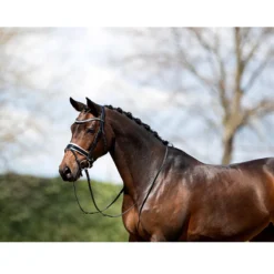 Hoofdstel Anky ATH20005 Zwart-wit -Ruiter Hoek Verkoopwinkel hoofdstel anky ath20005 zwart wit 1500x1500 182914