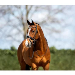 Hoofdstel Anky Comfort Fit Combined Black-black -Ruiter Hoek Verkoopwinkel hoofdstel anky comfort fit combined black black 1500x1500 173341