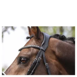 Hoofdstel Anky Comfort Fit Double Anatomical Zwart-wit -Ruiter Hoek Verkoopwinkel hoofdstel anky comfort fit double anatomical zwart wit 1500x1500 182893