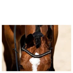 Hoofdstel Anky Comfort Fit Pullback Noseband Zwart-wit -Ruiter Hoek Verkoopwinkel hoofdstel anky comfort fit pullback noseband zwart wit 1500x1500 182904