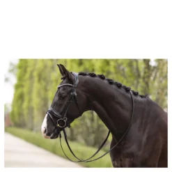 Hoofdstel Anky Comfort Fit Pullback Noseband Zwart 9 Hoofdstel Anky Comfort Fit Pullback Noseband Zwart -Ruiter Hoek Verkoopwinkel hoofdstel anky comfort fit pullback noseband zwart 1500x1500 182899