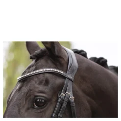 Hoofdstel Anky Comfort Fit Pullback Noseband Zwart 10 Hoofdstel Anky Comfort Fit Pullback Noseband Zwart -Ruiter Hoek Verkoopwinkel hoofdstel anky comfort fit pullback noseband zwart 1500x1500 182900