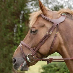 Hoofdstel Dy'on Difference Bruin -Ruiter Hoek Verkoopwinkel hoofdstel dy on difference bruin 1500x1500 116073